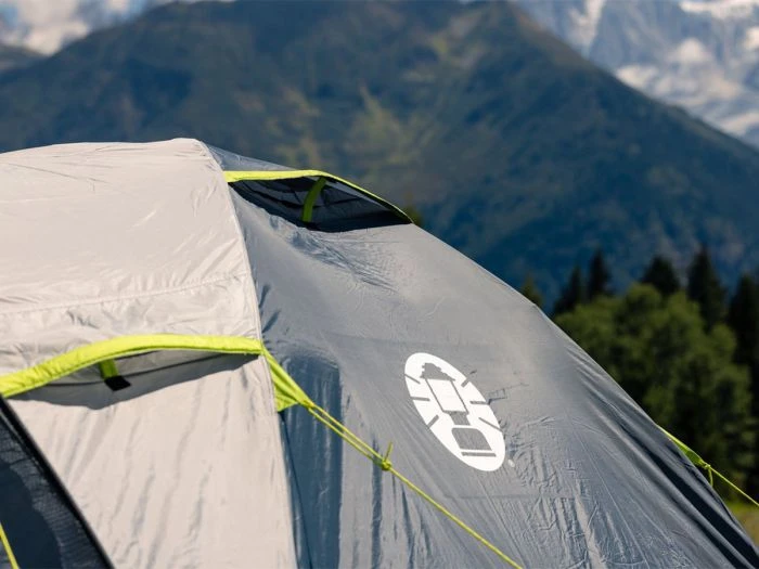 Coleman Darwin 3 Plus Grey Tente Dôme – Image 5