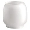 Verre De Rechange Pour Lampe à Gaz Coleman Globe M