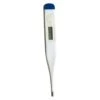 Thermomètre Numérique TravelSafe