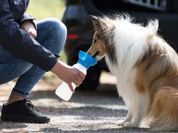 Gourde Trixie Avec Abreuvoir – Image 3
