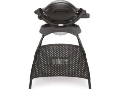 Weber Q 1000 Stand Barbecue à Gaz